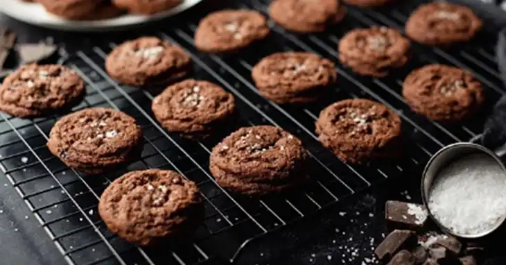 Can cookie drying racks go in the oven sale